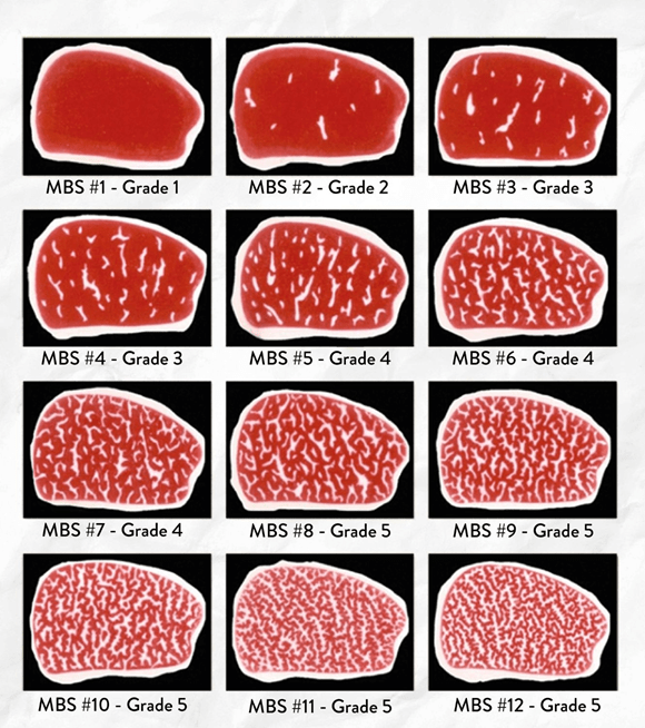 Wagyu classification